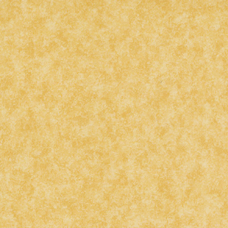 নমনীয় সূক্ষ্ম ভিন্ন ভিন্ন মেঝে