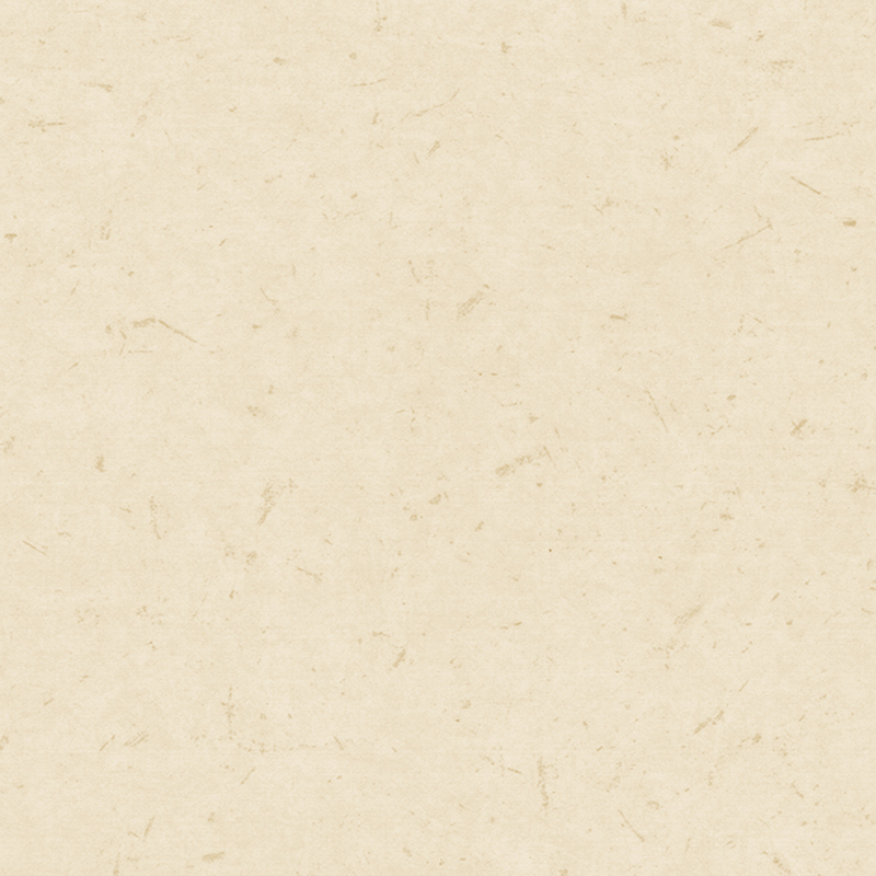 অ্যান্টি-ব্যাকটেরিয়াল এবং অ্যান্টি-স্ট্যাটিক ভিন্ন ভিন্ন মেঝে