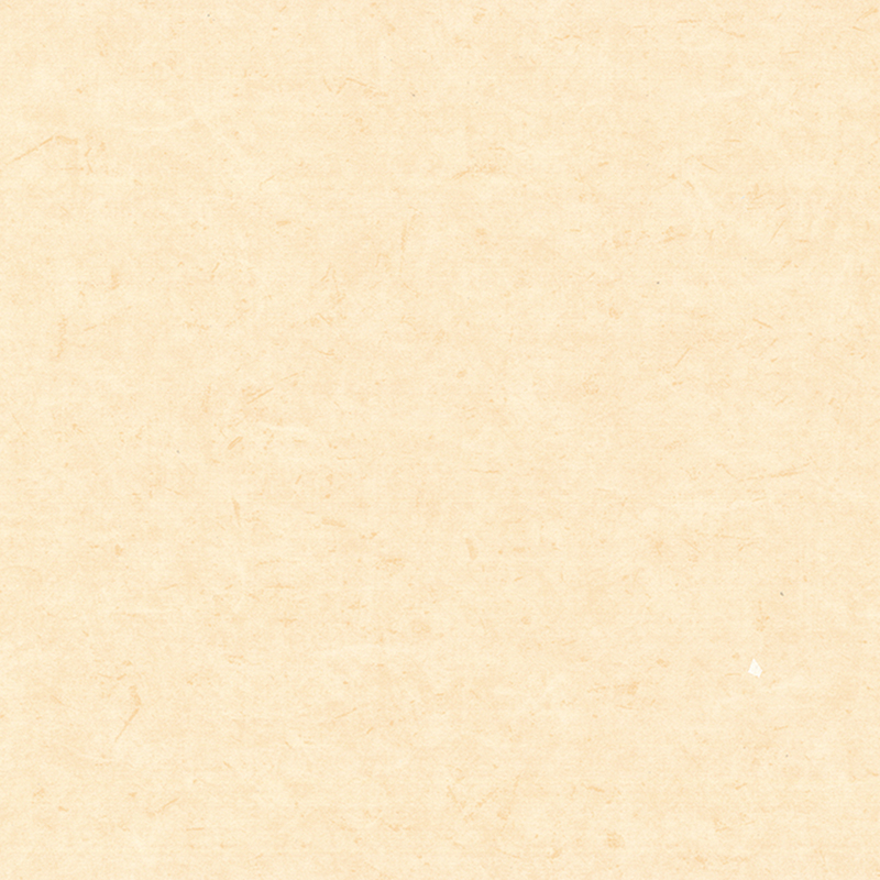 অ্যান্টি-ব্যাকটেরিয়াল এবং অ্যান্টি-স্ট্যাটিক ভিন্ন ভিন্ন মেঝে