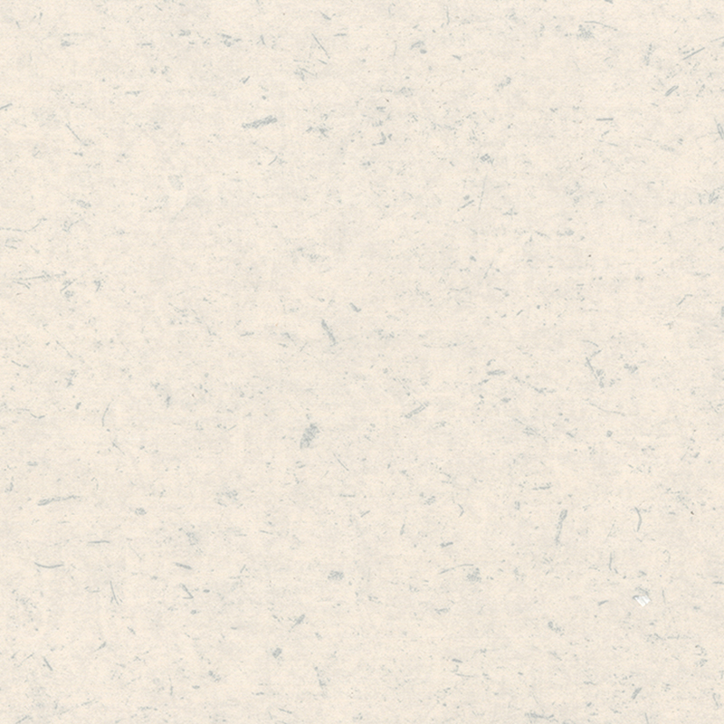 অ্যান্টি-ব্যাকটেরিয়াল এবং অ্যান্টি-স্ট্যাটিক ভিন্ন ভিন্ন মেঝে