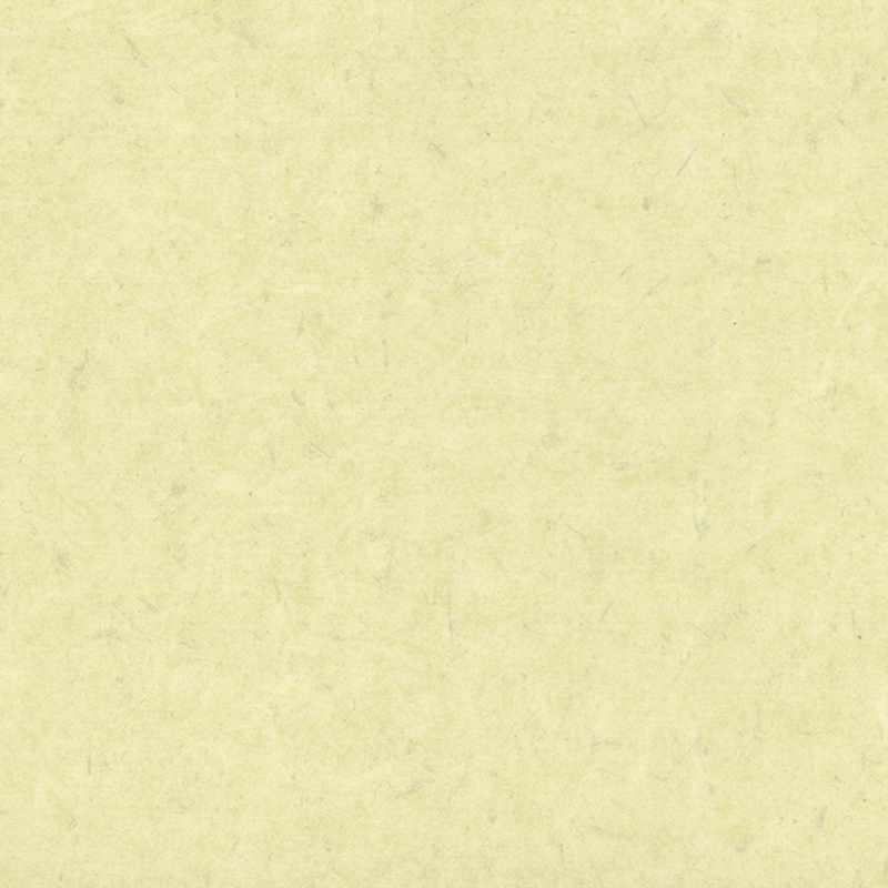 অ্যান্টি-ব্যাকটেরিয়াল এবং অ্যান্টি-স্ট্যাটিক ভিন্ন ভিন্ন মেঝে