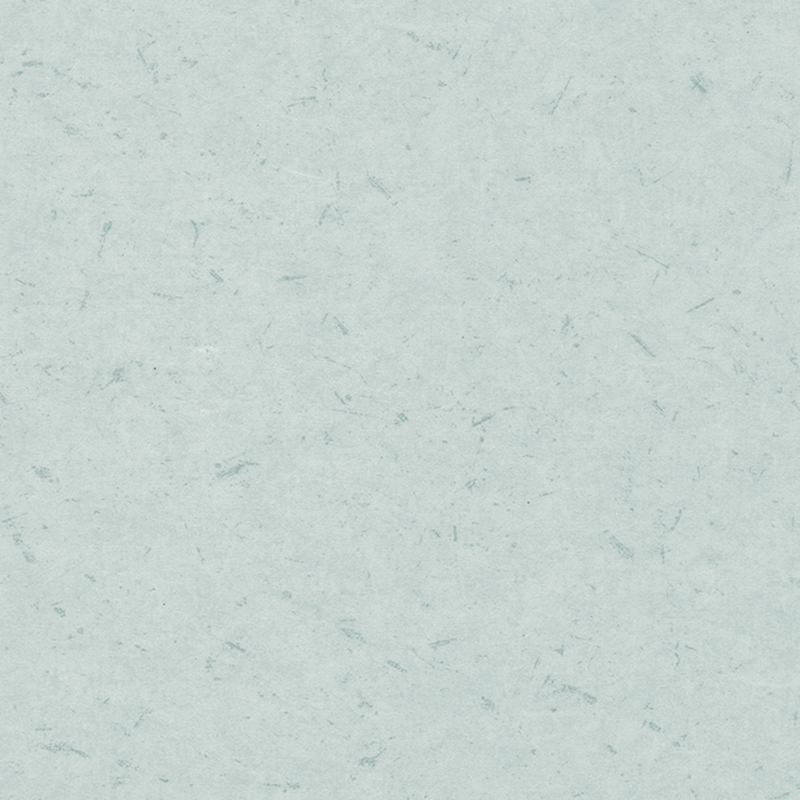 অ্যান্টি-ব্যাকটেরিয়াল এবং অ্যান্টি-স্ট্যাটিক ভিন্ন ভিন্ন মেঝে