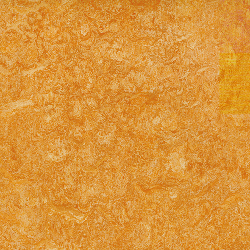 দাগ প্রতিরোধের এবং কম খরচে ভিন্ন ভিন্ন মেঝে