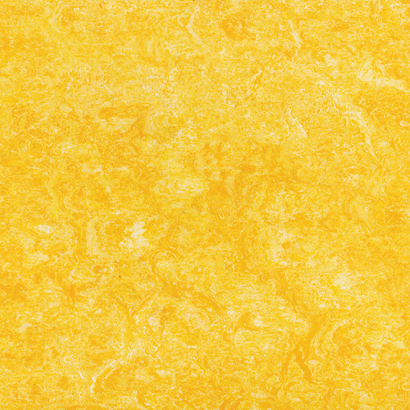 দাগ প্রতিরোধের এবং কম খরচে ভিন্ন ভিন্ন মেঝে