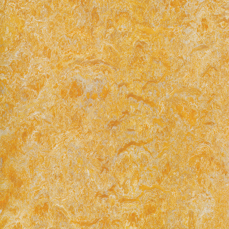 দাগ প্রতিরোধের এবং কম খরচে ভিন্ন ভিন্ন মেঝে