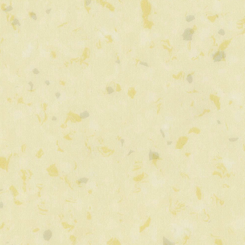 অ্যান্টি-ব্যাকটেরিয়া ভিন্নধর্মী মেঝে