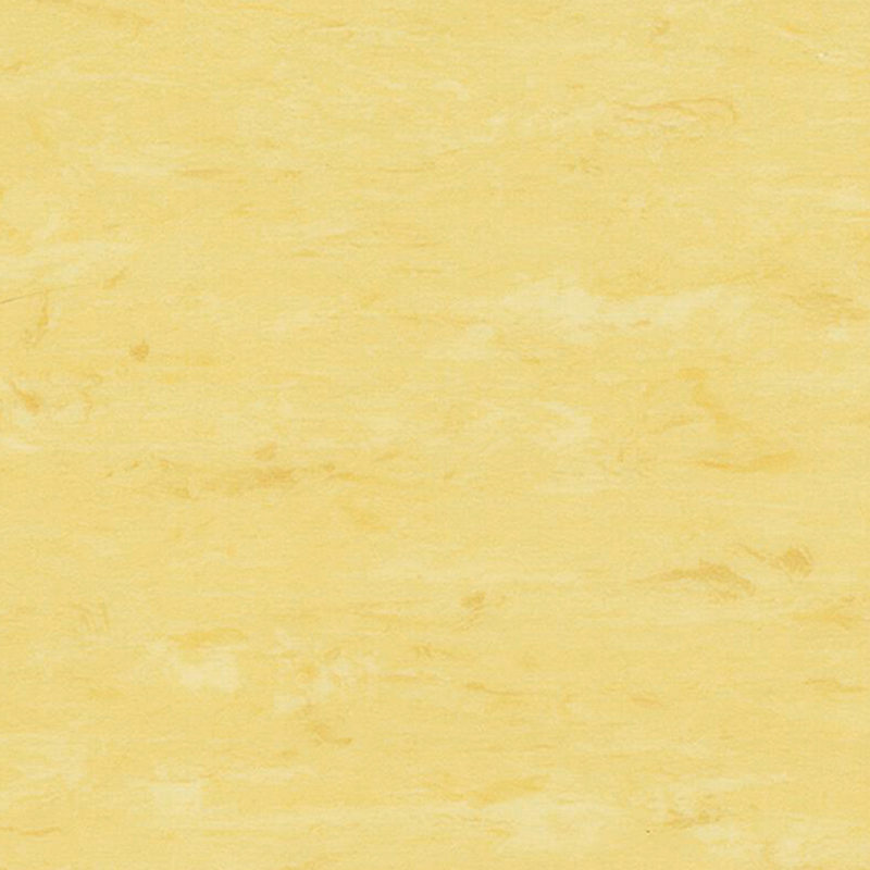 ফায়ার প্রুফ এবং সহজ পরিষ্কার ভিন্ন ভিন্ন মেঝে