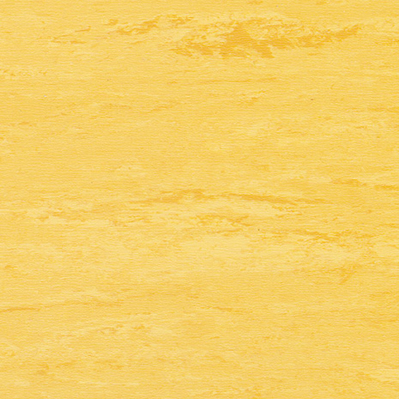 আধুনিক রোম্যান্স সমজাতীয় মেঝে