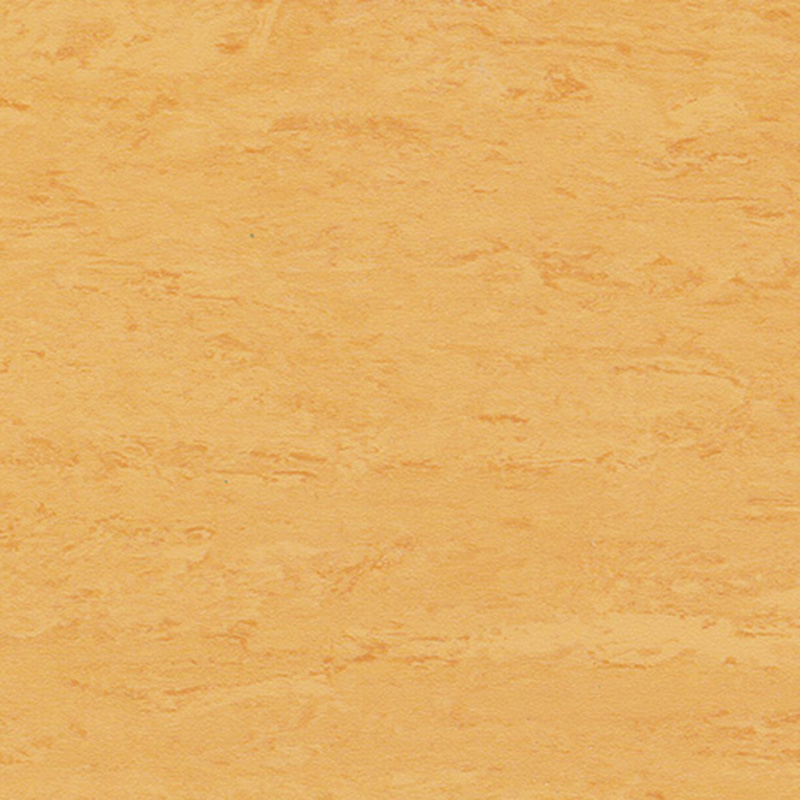 আধুনিক রোম্যান্স সমজাতীয় মেঝে