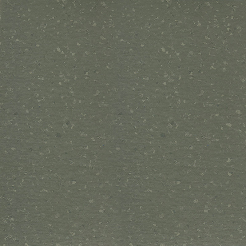 অতি উচ্চ পরিধান প্রতিরোধের সমজাতীয় মেঝে