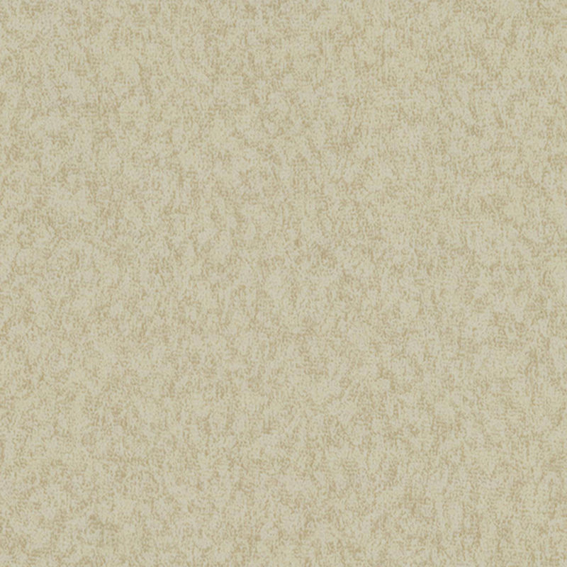 ঘর্ষণ-প্রতিরোধী এবং দাগ-প্রতিরোধী ভিন্নধর্মী মেঝে