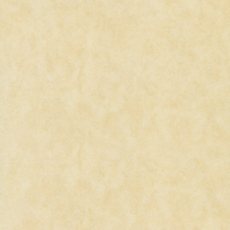 পরিবেশ বান্ধব পরিধান প্রতিরোধের ভিন্নধর্মী মেঝে