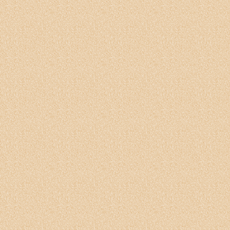 অ্যান্টি-স্লিপ এবং পরিধান-প্রতিরোধী ভিন্ন ভিন্ন মেঝে