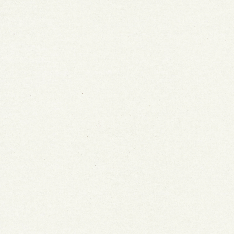 উচ্চ মানের এবং অনন্য রঙের সমজাতীয় মেঝে