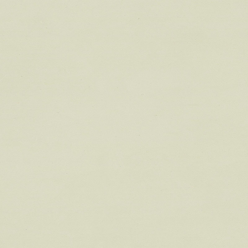 উচ্চ মানের এবং অনন্য রঙের সমজাতীয় মেঝে