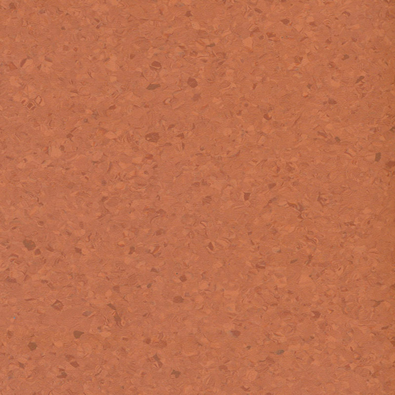 বহু রঙের একজাতীয় মেঝে