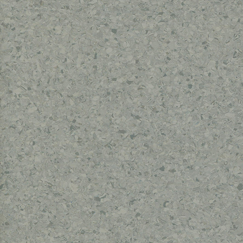 বহু রঙের একজাতীয় মেঝে