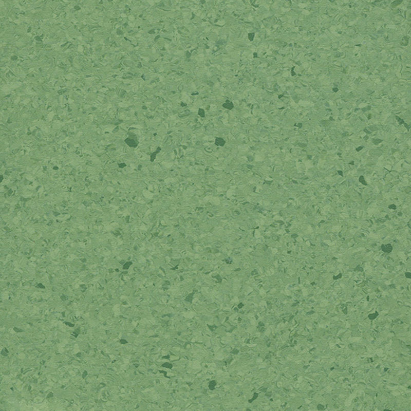 বহু রঙের একজাতীয় মেঝে