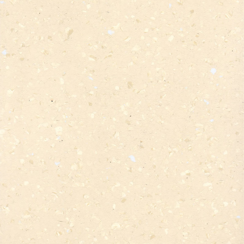 হালকা এবং মার্জিত একজাত মেঝে