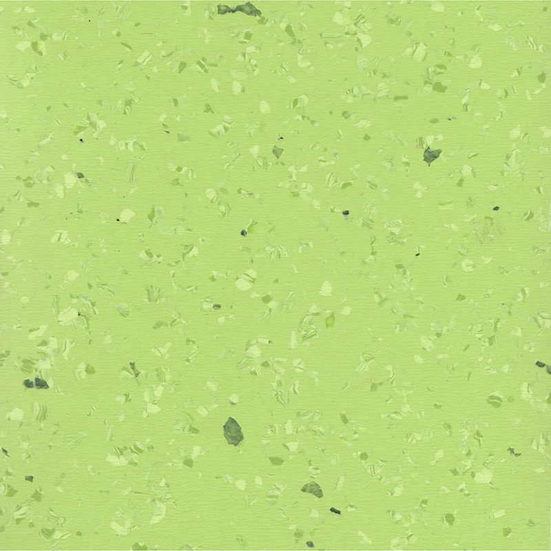 হালকা এবং মার্জিত একজাত মেঝে