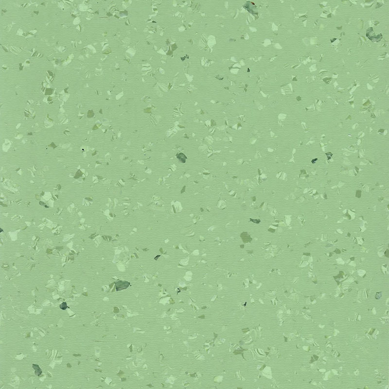 হালকা এবং মার্জিত একজাত মেঝে