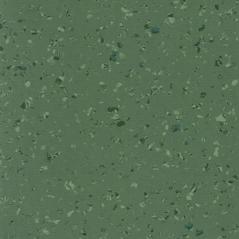 হালকা এবং মার্জিত একজাত মেঝে