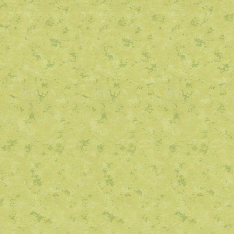 অভ্যন্তরীণ দেয়ালের জন্য ফায়ারপ্রুফ এবং অ্যান্টি-স্লিপ আলংকারিক পিভিসি ক্ল্যাডিং