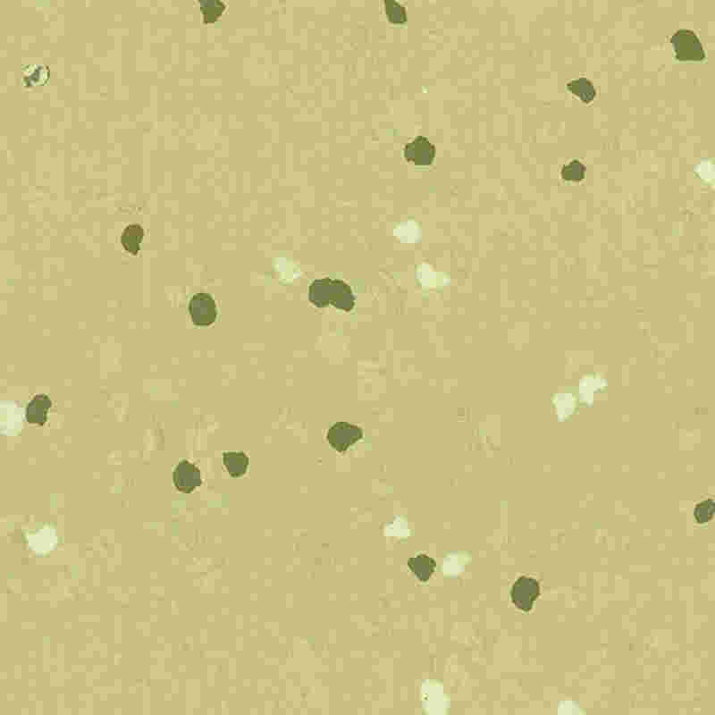 স্ক্র্যাচ-প্রুফ এবং উচ্চ স্থিতিস্থাপক রাবার মেঝে