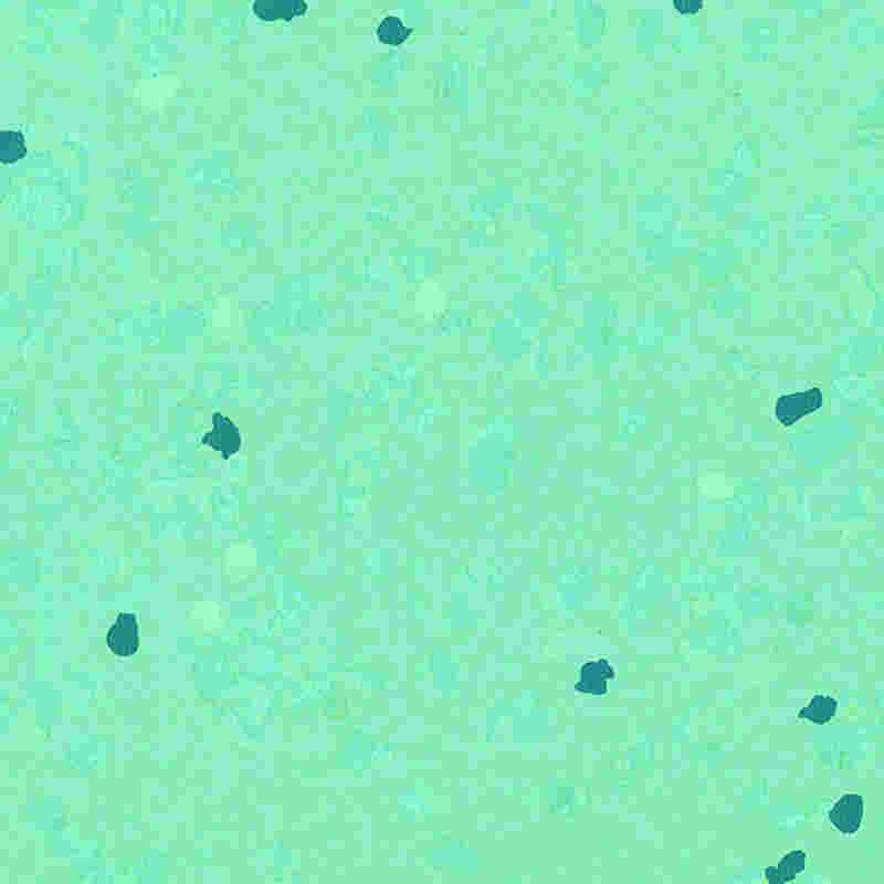 স্ক্র্যাচ-প্রুফ এবং উচ্চ স্থিতিস্থাপক রাবার মেঝে