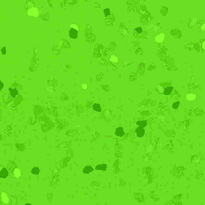 স্ক্র্যাচ-প্রুফ এবং উচ্চ স্থিতিস্থাপক রাবার মেঝে