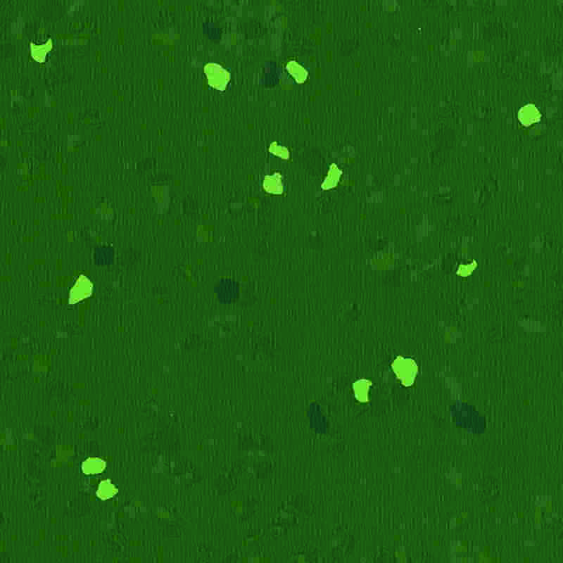 স্ক্র্যাচ-প্রুফ এবং উচ্চ স্থিতিস্থাপক রাবার মেঝে