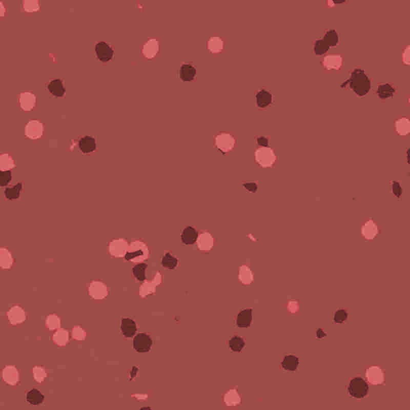 শিখা retardant এবং জল-প্রমাণ রাবার এবং প্লাস্টিকের মেঝে