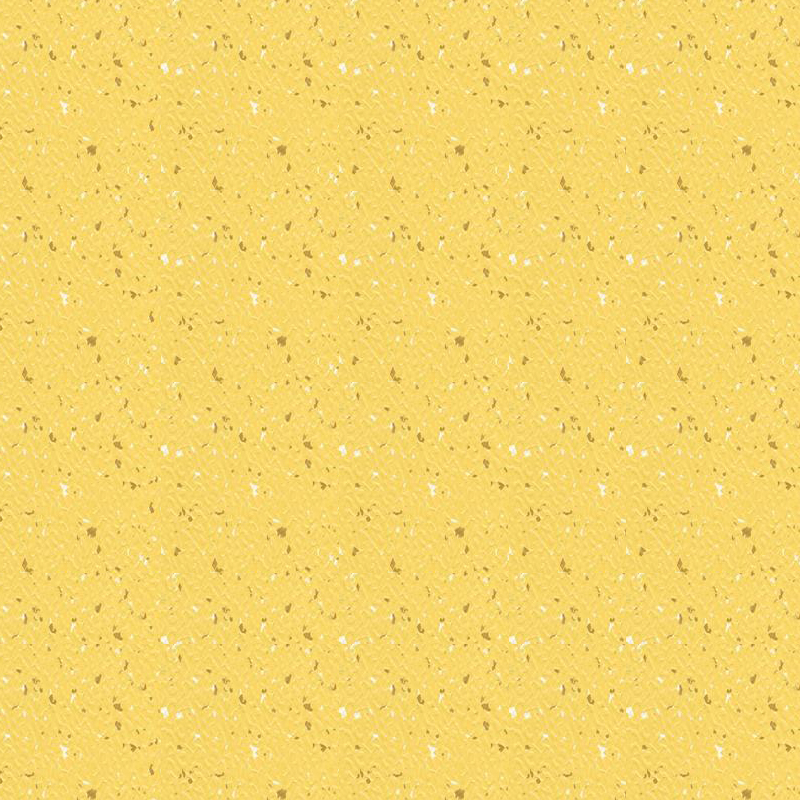 শক্তিশালী শক শোষণ রাবার এবং প্লাস্টিকের মেঝে