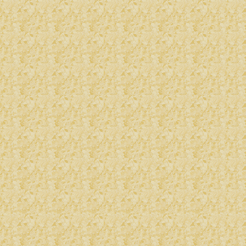 মার্বেল জমিন এবং প্রাচ্য নন্দনতত্ত্ব একজাত মেঝে