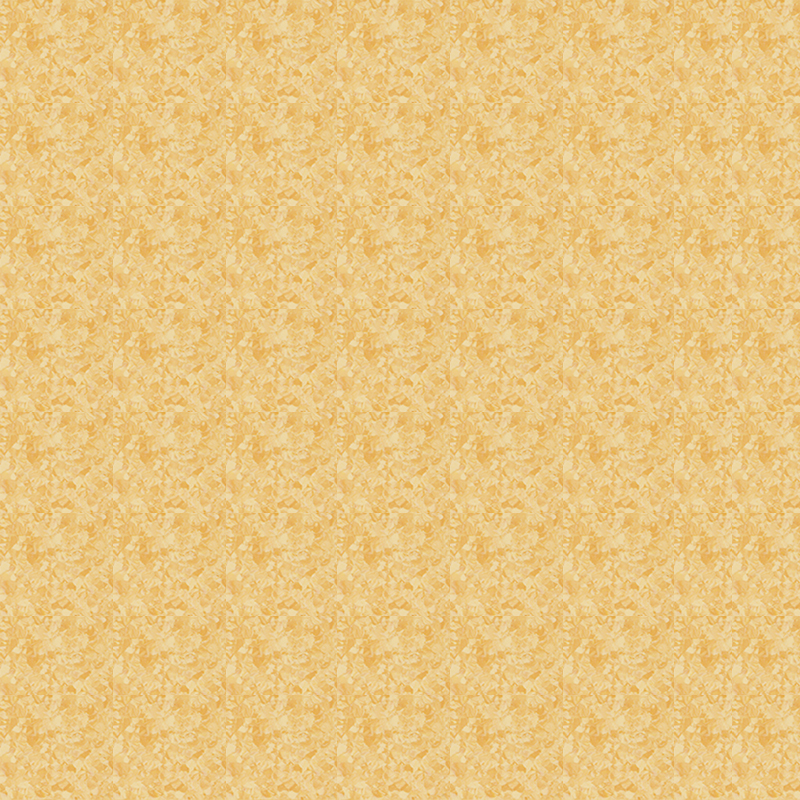 মার্বেল জমিন এবং প্রাচ্য নন্দনতত্ত্ব একজাত মেঝে