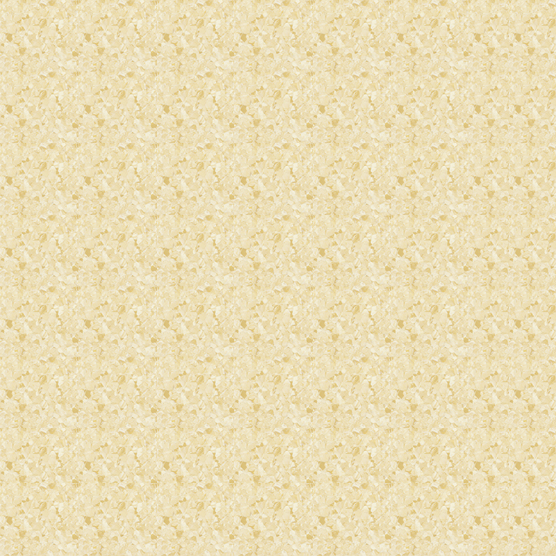 মার্বেল জমিন এবং প্রাচ্য নন্দনতত্ত্ব একজাত মেঝে