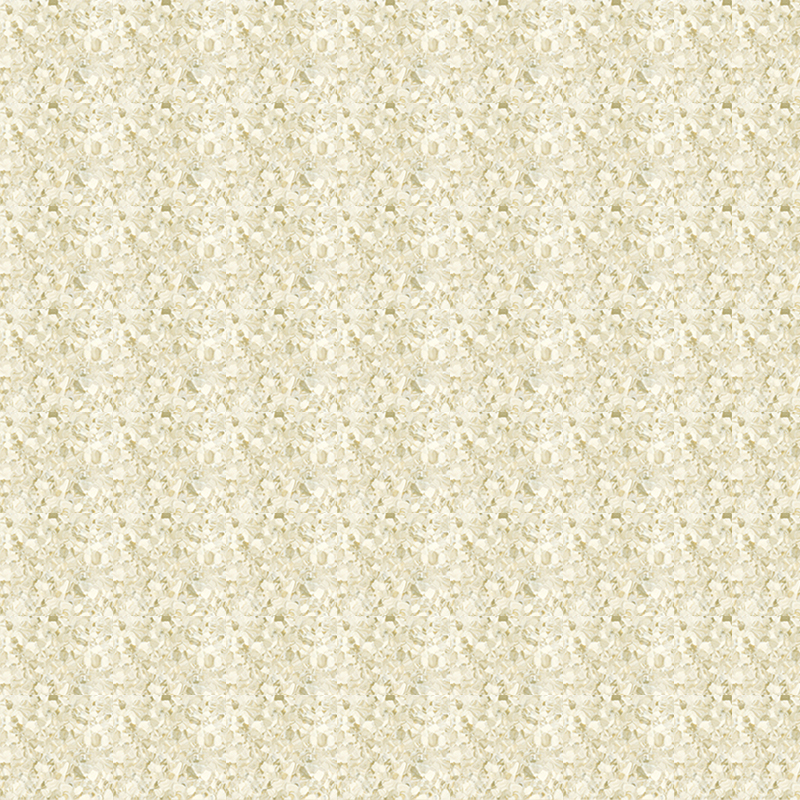 মার্বেল জমিন এবং প্রাচ্য নন্দনতত্ত্ব একজাত মেঝে