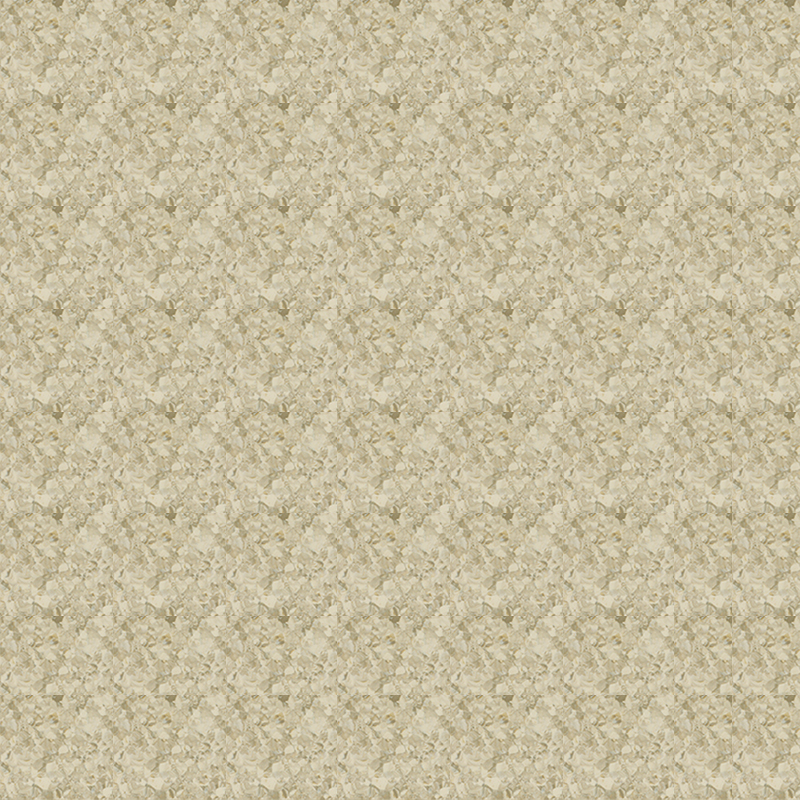 মার্বেল জমিন এবং প্রাচ্য নন্দনতত্ত্ব একজাত মেঝে