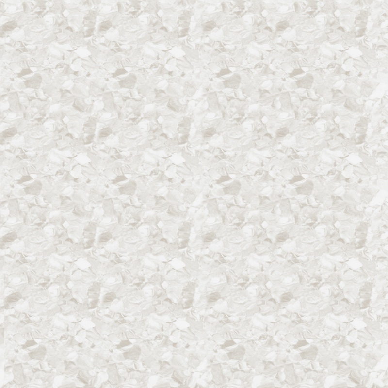 মার্বেল জমিন এবং প্রাচ্য নন্দনতত্ত্ব একজাত মেঝে