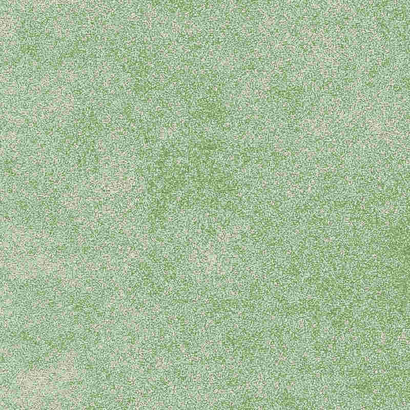 কমনীয়তা বিলাসবহুল একধরনের প্লাস্টিক টাইলস একত্রিত করা