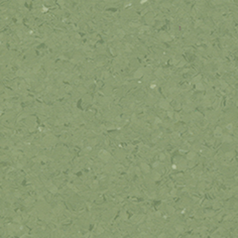 বিভিন্ন শৈলী এবং মার্জিত একজাত মেঝে