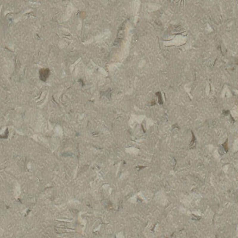 তাজা এবং মার্জিত একজাত মেঝে