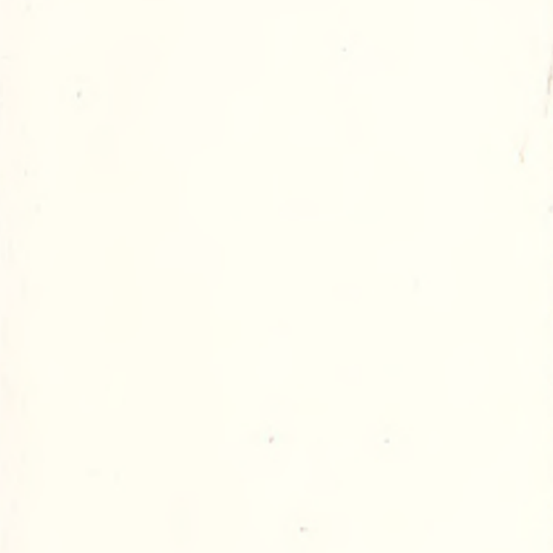 উচ্চ অভিযোজনযোগ্যতা এবং বিজোড় রাবার মেঝে