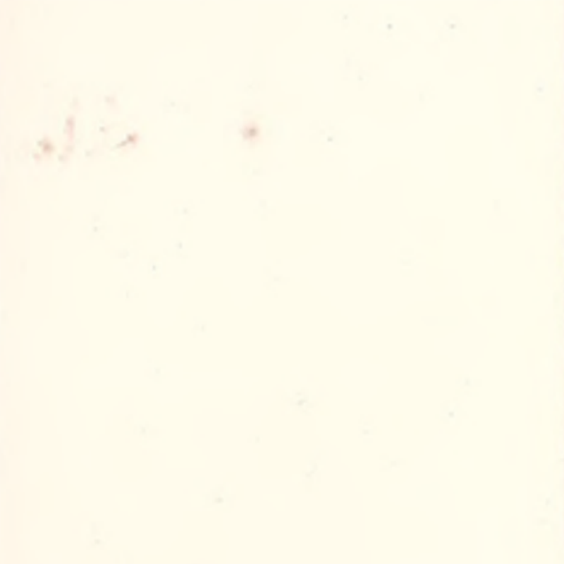 উচ্চ অভিযোজনযোগ্যতা এবং বিজোড় রাবার মেঝে