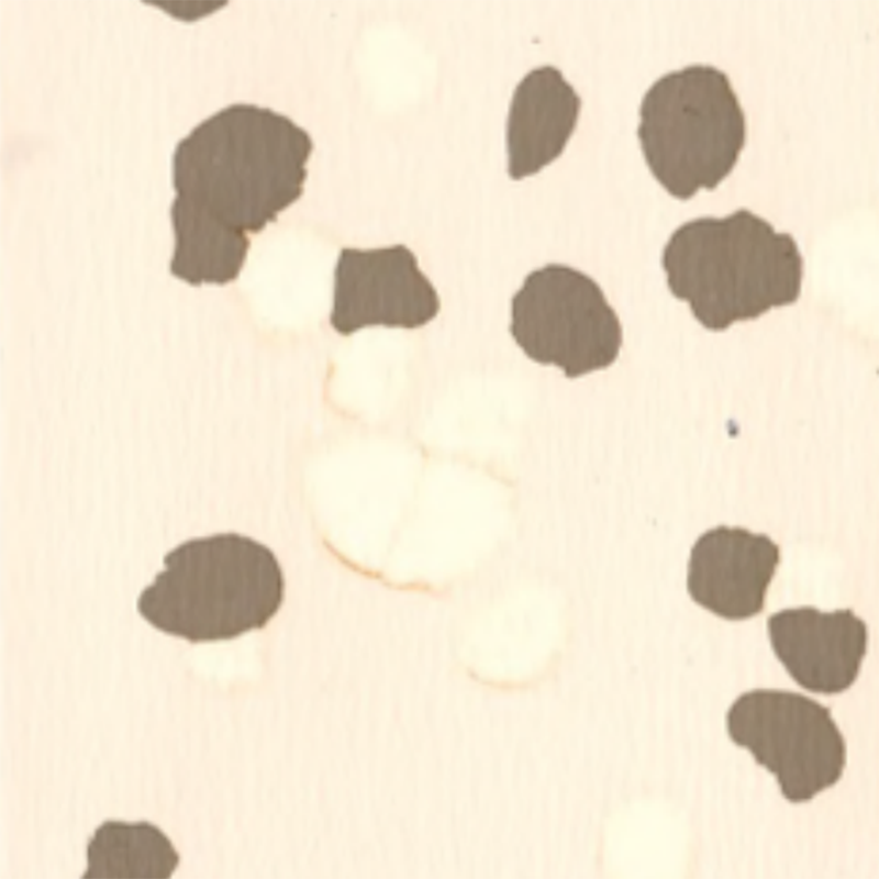 অ্যান্টি-স্লিপ এবং স্ক্র্যাচ-প্রতিরোধী রাবার মেঝে