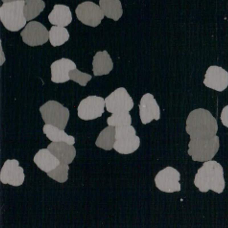 অ্যান্টি-স্লিপ এবং স্ক্র্যাচ-প্রতিরোধী রাবার মেঝে