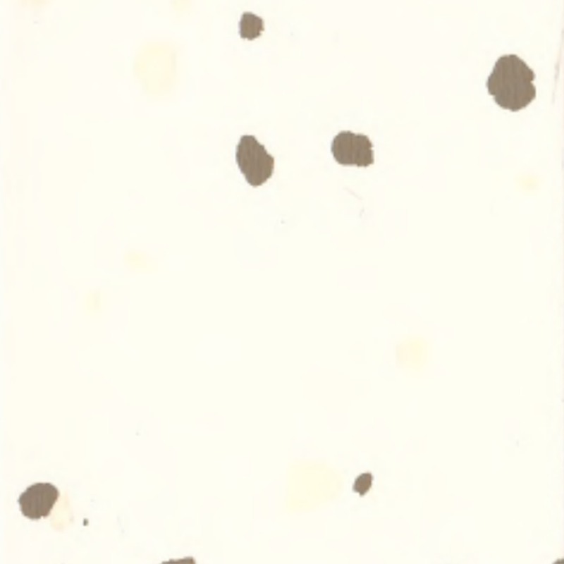 পরিবেশগত রাবার মেঝে