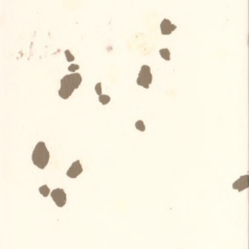 পরিবেশগত রাবার মেঝে